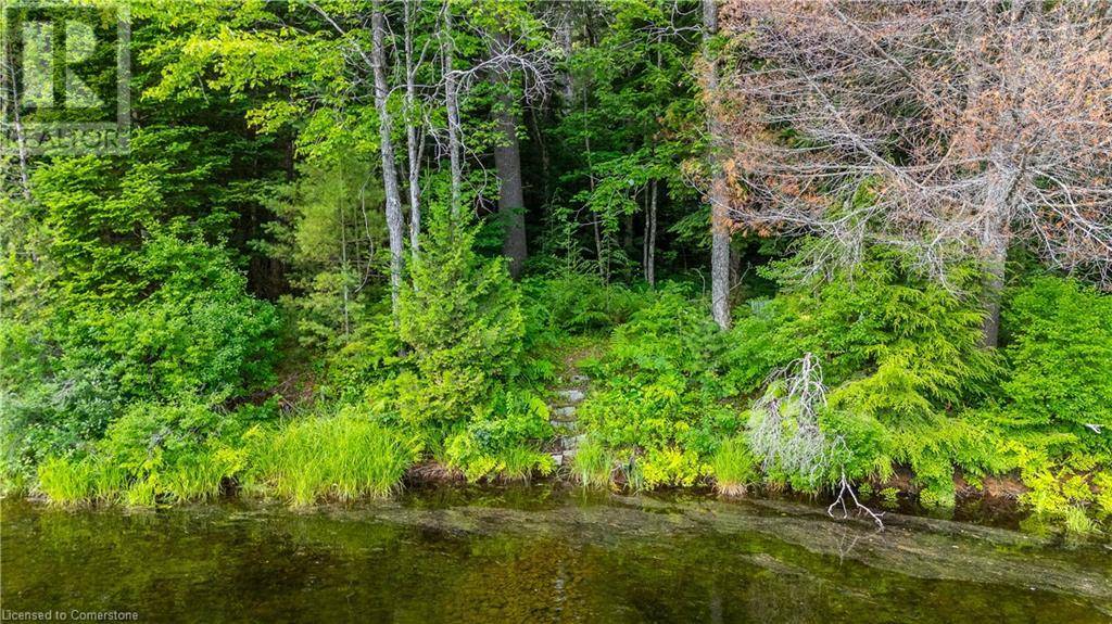 Baysville, ON P0B1A0,1083 FAIRY FALLS Road