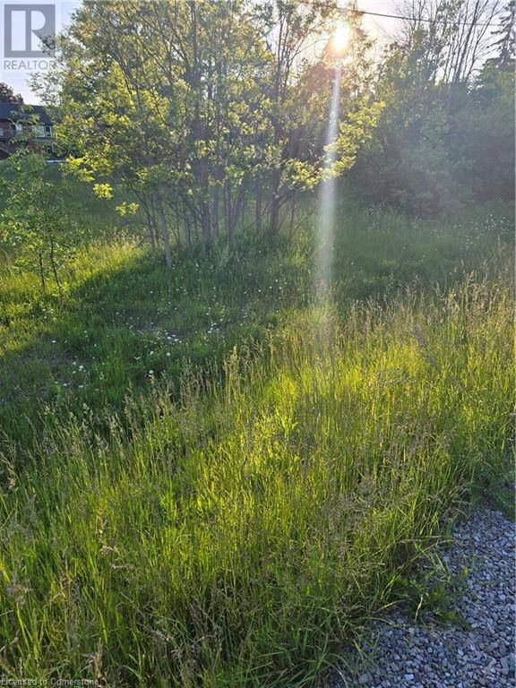 1533 54 Highway, Haldimand County, ON N3W1V7