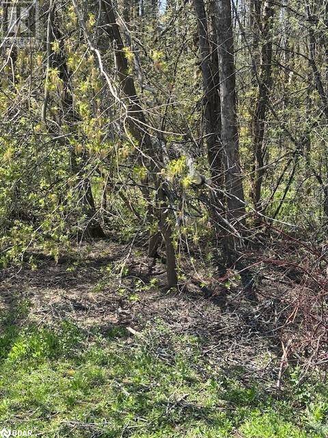145 COURTLAND Street, Ramara, ON L3V6H7