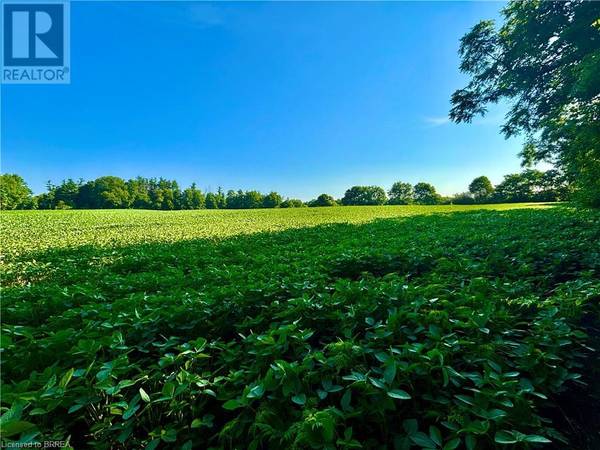 St. George, ON N0E1N0,81 HOWELL Road