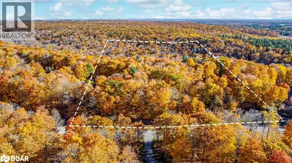 17 MAPLE RIDGE RD, Oro-medonte, ON L0L2L0