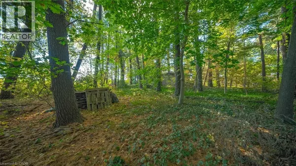 Delhi, ON N4B2G7,643 GAGE Street