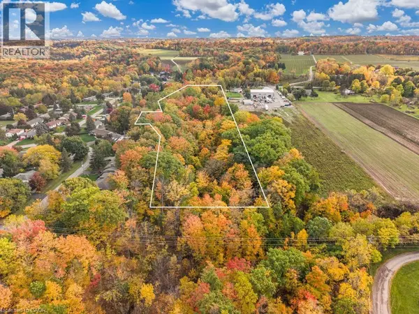 Vineland, ON L0R2C0,3169 KING Street