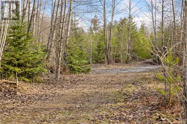 Coombs, BC V9K1Y3,2745 Shaver Rd