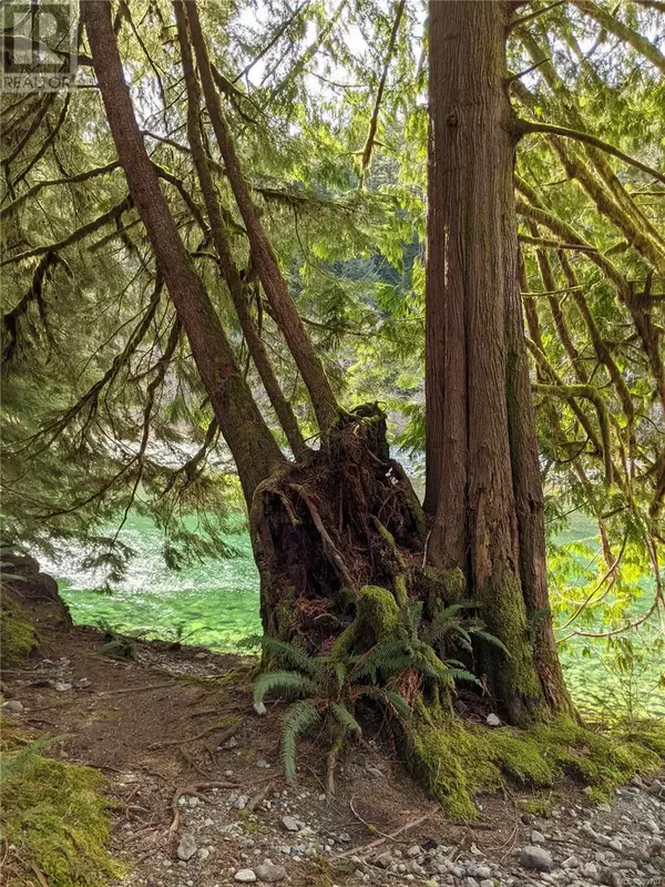 Port Renfrew, BC V0S1K0,NE1/4SEC15 Gordon River Rd
