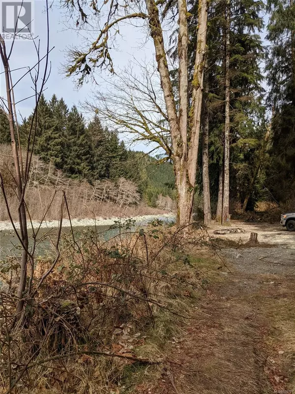 Port Renfrew, BC V0S1K0,NE1/4SEC15 Gordon River Rd