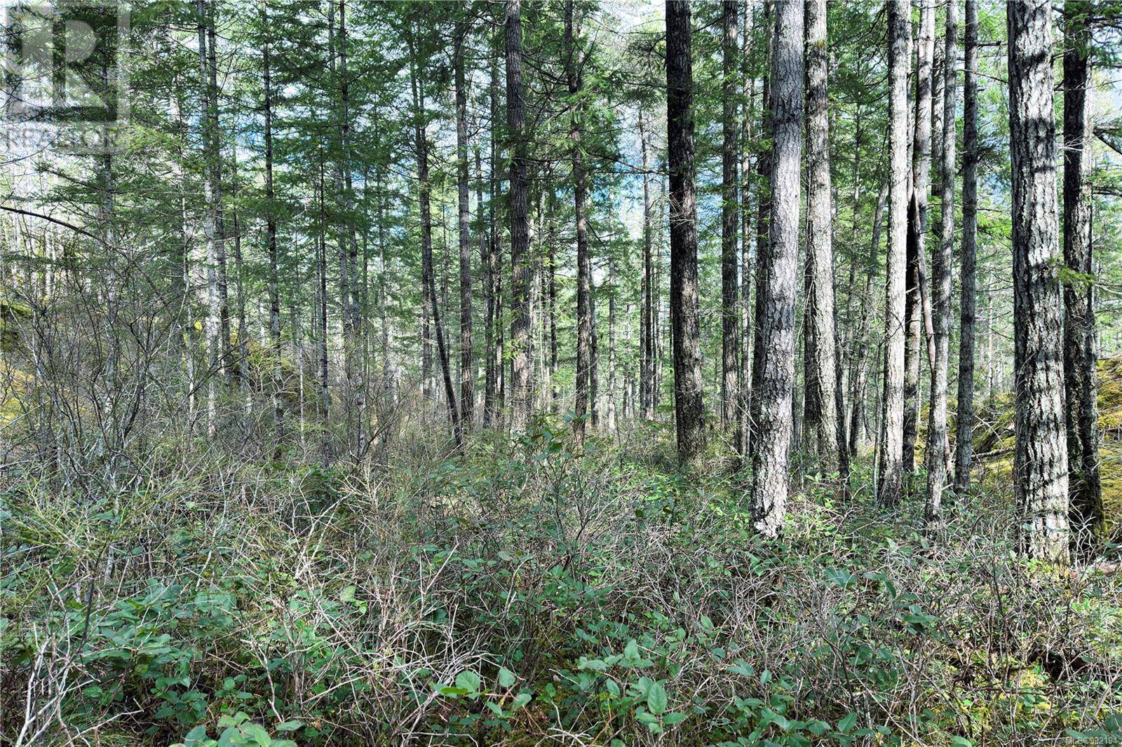 Quadra Island, BC V0P1H0,2140 HYACINTHE BAY RD #LOT 4
