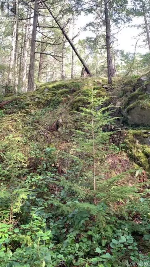 Lasqueti Island, BC V0R2J0,27 Oben RD #7