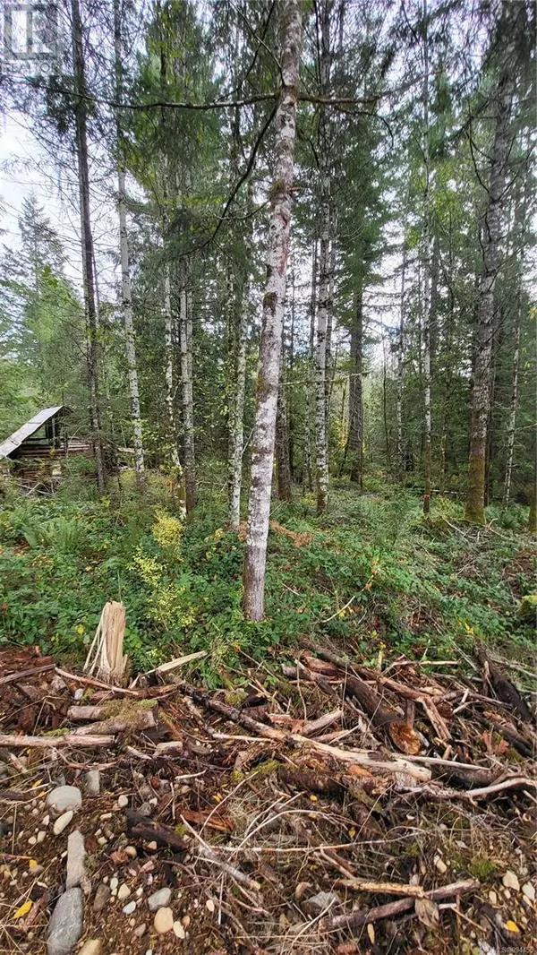 Duncan, BC V9L6H3,Lot 3 Cowichan Lake Rd