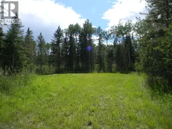 Rural Clearwater County, AB T4T1A7,115 Meadow Ponds Drive