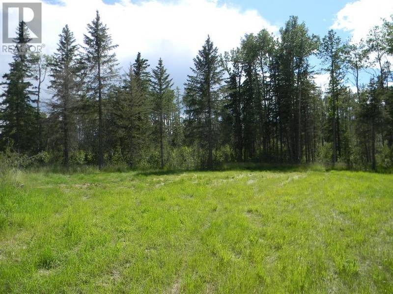 115 Meadow Ponds Drive, Rural Clearwater County, AB T4T1A7