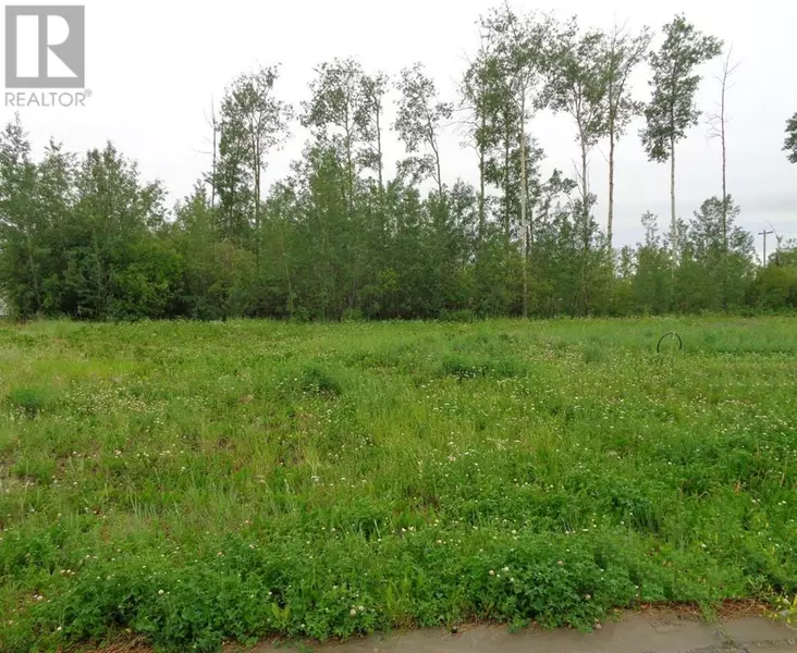 29 Chonkolay Drive, High Level, AB T0H1Z0