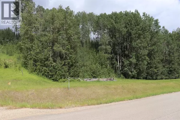 Rural Yellowhead County, AB T7E3A6,16511 Township Road 532A #23