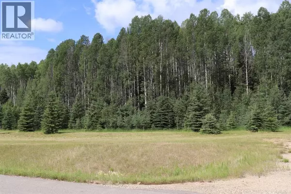 Rural Yellowhead County, AB T7E3A6,24, 165111 Township Road 532A Subdivision