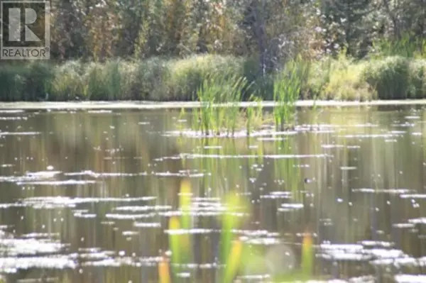 High Level, AB T0H1Z0,9660 88 Street