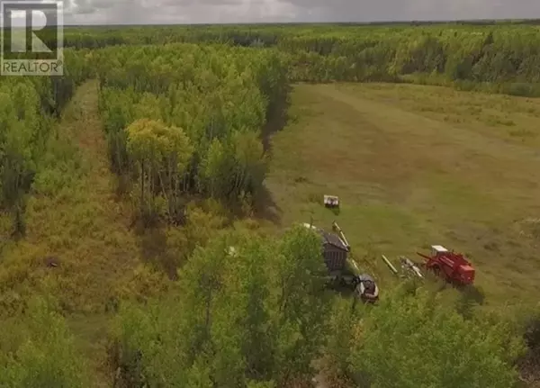 High Level, AB T0H1Z0,9660 88 Street