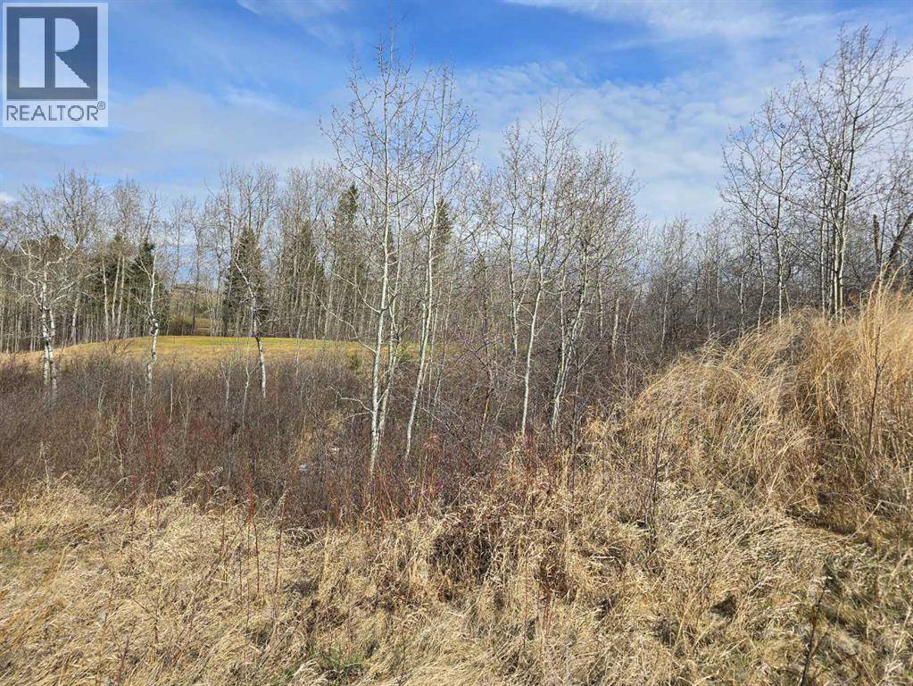 Rural Ponoka County, AB T4J0B3,125 Wolf Run Drive