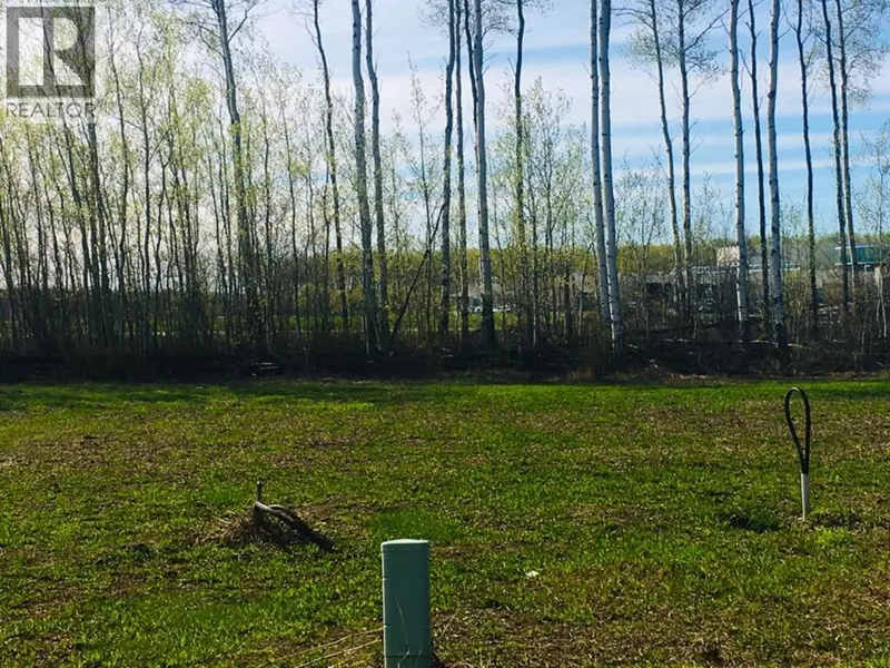 41 Chonkolay Drive, High Level, AB T0H1Z0