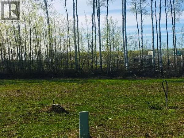 41 Chonkolay Drive, High Level, AB T0H1Z0