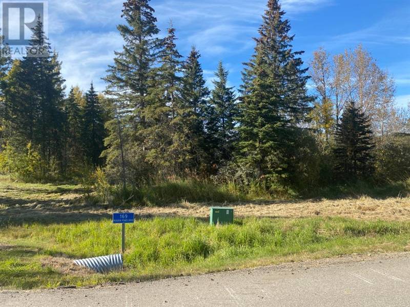 169 Meadow Ponds Drive, Rural Clearwater County, AB T4T1A7