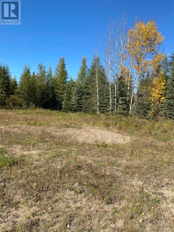 Whitecourt, AB T7S0E5,Lot 32 Flats Road Road