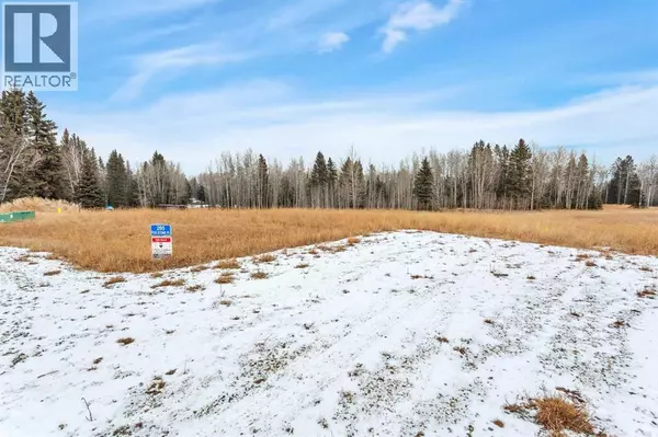 Rural Clearwater County, AB T4T2A4,205 FOX STONE Place