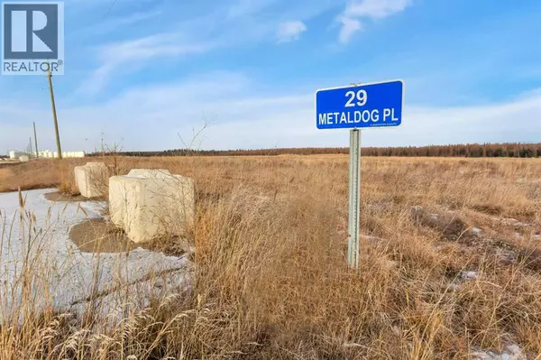 29 METALDOG Place, Rural Clearwater County, AB T4T2A2