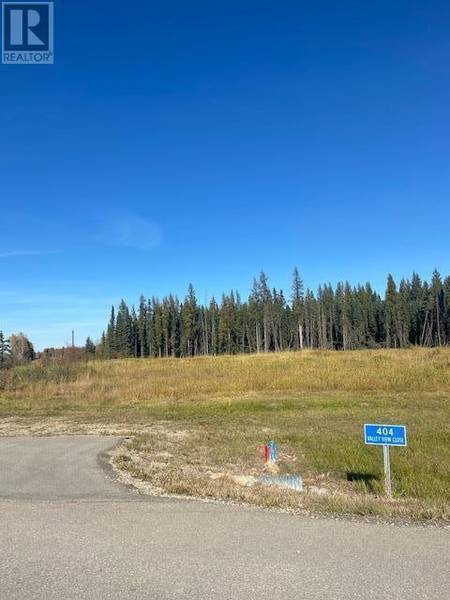 400 Valley View Close, Rural Clearwater County, AB T4T1A7