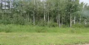 Rural Ponoka County, AB T4J1R3,122 Wolf Run Drive