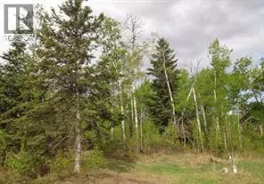 Rural Ponoka County, AB T4J1R3,122 Wolf Run Drive