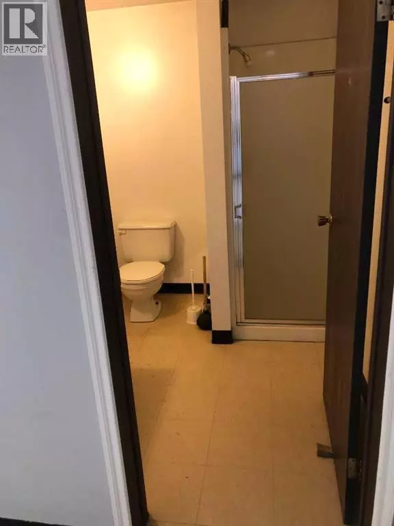 Swan Hills, AB T7N2C0,4635 FEDERATED Road