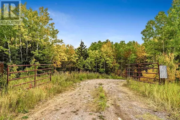 Rural Foothills County, AB T0L1W0,W:5 R:3 T:22 S:29 Q:NW Drive