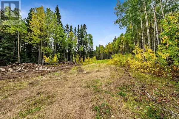 Rural Foothills County, AB T0L1W0,64 Hawk's Landing Drive