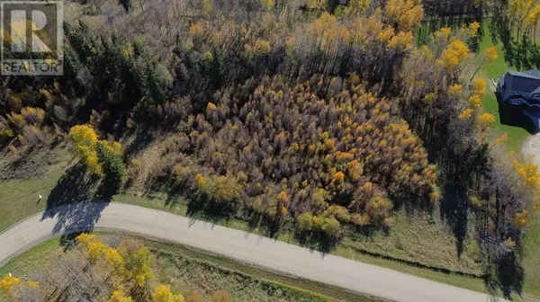 Rural Ponoka County, AB T0B0H0,9, 15015 Township Road 424 Township