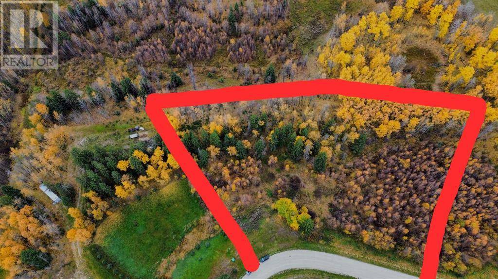 Rural Ponoka County, AB T0B0H0,9, 15015 Township Road 424 Township