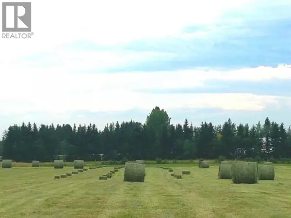 Rural Clearwater County, AB T0M0C0,390039 Range Road 5-4