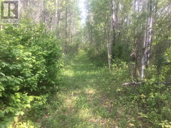 Rural Athabasca County, AB T9S1C4,224002 Township Road 654