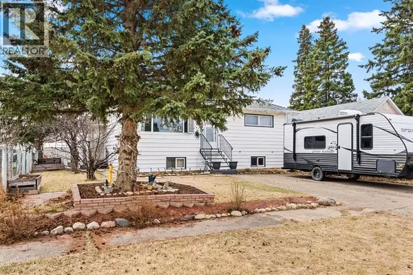207 5 Avenue SE, Manning, AB T0H2M0