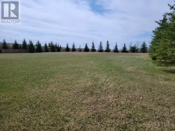 Athabasca, AB T9S0B8,Lot 4 Tower Road