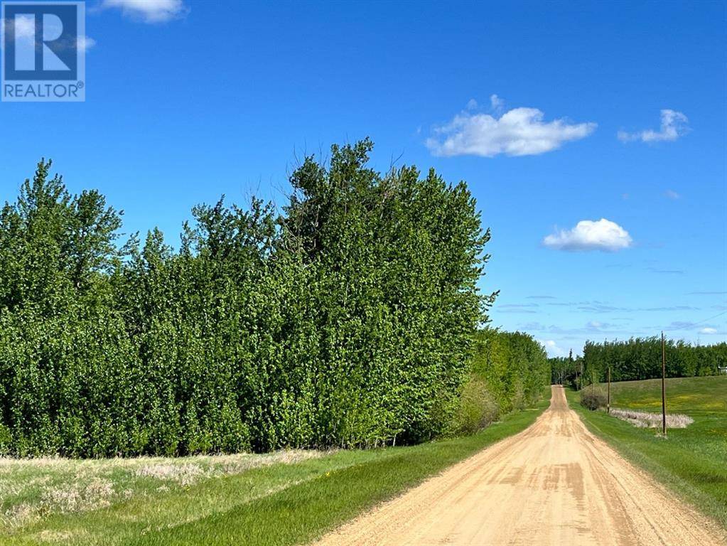 Plamondon, AB T0A2T0,Lot 4 163 Range Road