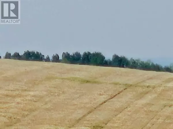 Rural Rocky View County, AB T4B3L5,Symons Valley