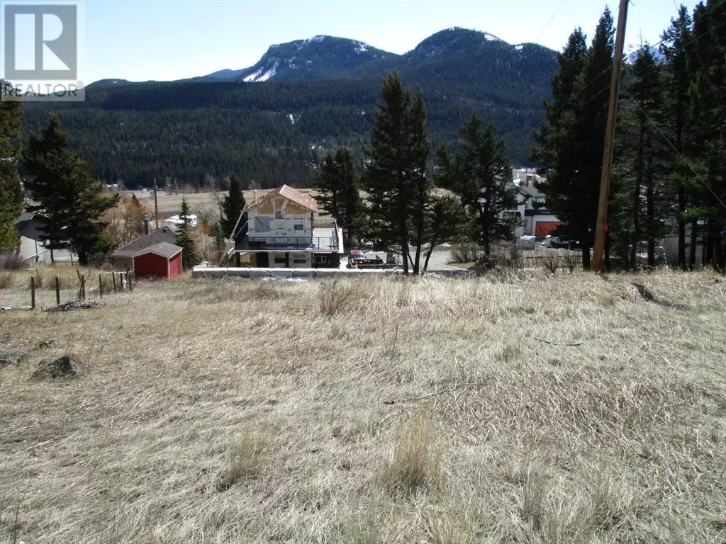 Coleman, AB T0K0M0,6502 24 Avenue