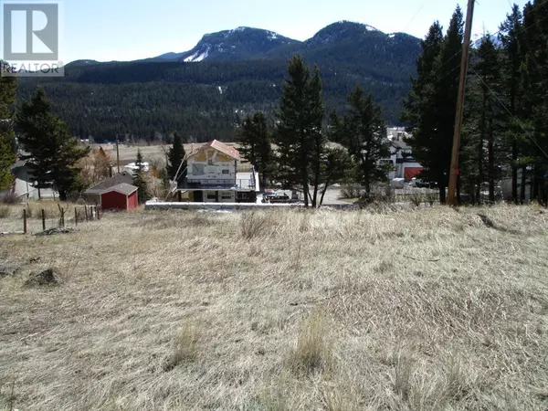 6502 24 Avenue, Coleman, AB T0K0M0