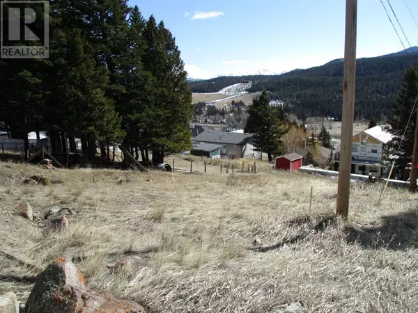 Coleman, AB T0K0M0,6502 24 Avenue