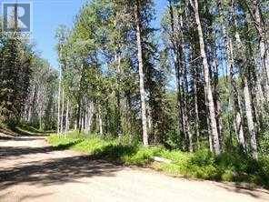 Rural Grande Prairie No. 1 County Of, AB T0H1J0,Lot #7 Wapiti River SW-21-69-10-W6