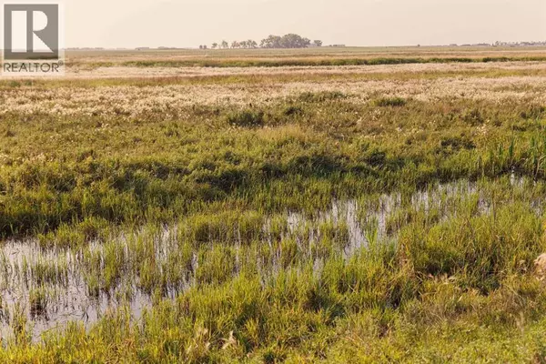 Rural Rocky View County, AB T0M1G0,Parcel 8 Range Road 271 just south of Highway 9.