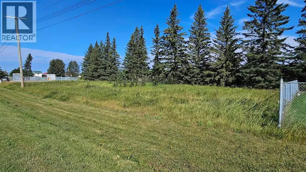 716 Main Avenue W, Sundre, AB T0M1X0