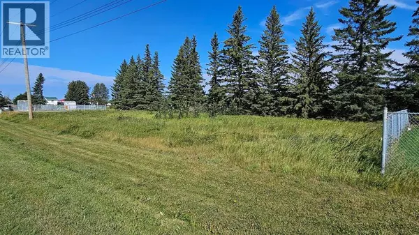 716 Main Avenue W, Sundre, AB T0M1X0