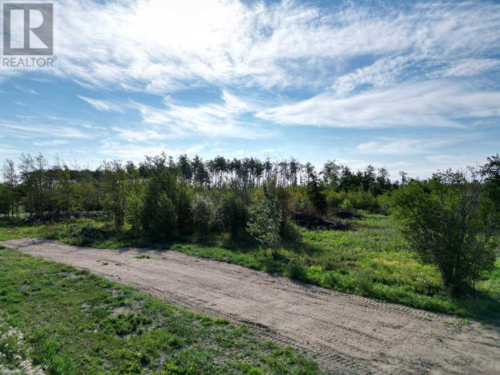 Wanham, AB T0H3P0,4717 49 Street