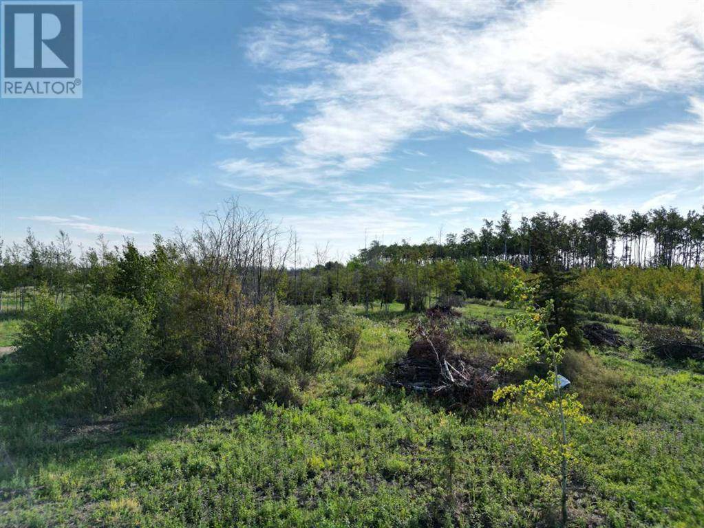 Wanham, AB T0H3P0,4717 49 Street